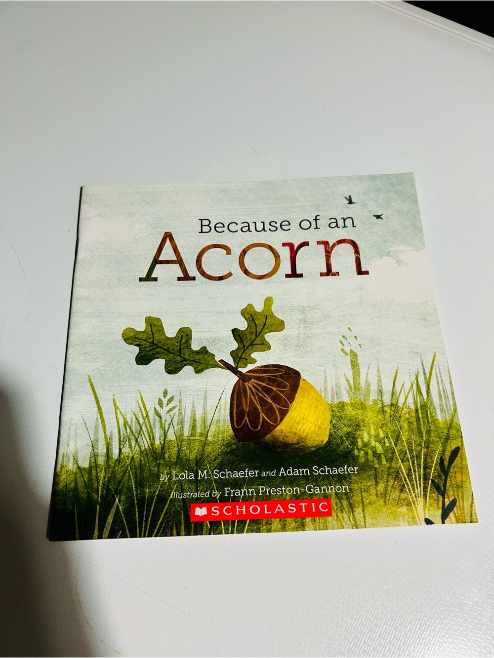 (3/$10) Because of an Acorn Picture Book